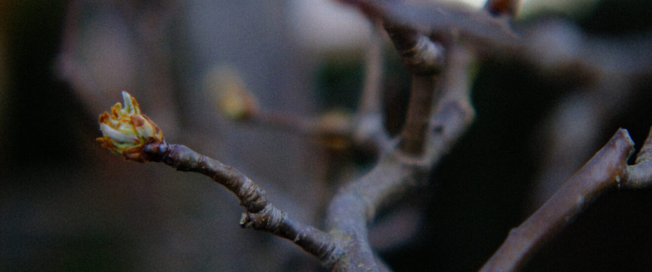Rumphorstviertel e.V.